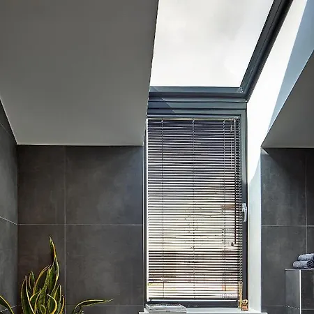 High Ceiling Loft With Its Own Backyard And A Terrace
