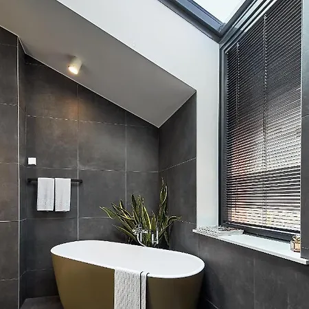 High Ceiling Loft With Its Own Backyard And A Terrace شقة