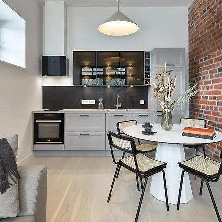 High Ceiling Loft With Its Own Backyard And A Terrace Appartement
