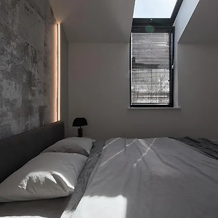High Ceiling Loft With Its Own Backyard And A Terrace تالين