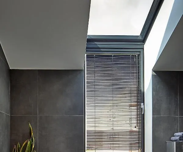 High Ceiling Loft With Its Own Backyard And A Terrace