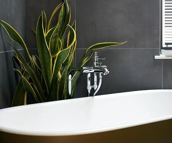 Apartament High Ceiling Loft With Its Own Backyard And A Terrace Tallin