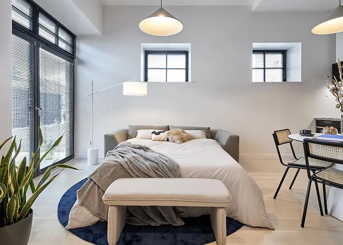 High Ceiling Loft With Its Own Backyard And A Terrace Tallin