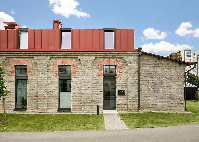 High Ceiling Loft With Its Own Backyard And A Terrace Apartament